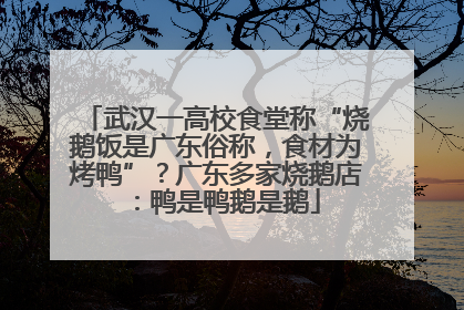 武汉一高校食堂称“烧鹅饭是广东俗称，食材为烤鸭”？广东多家烧鹅店：鸭是鸭鹅是鹅
