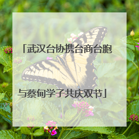 武汉台协携台商台胞与蔡甸学子共庆双节