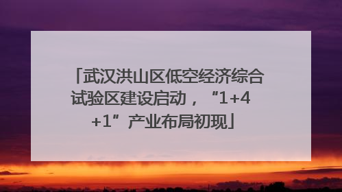 武汉洪山区低空经济综合试验区建设启动，“1+4+1”产业布局初现