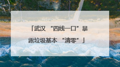 武汉 “四线一口”暴露垃圾基本 “清零”
