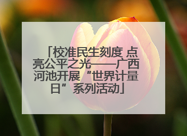 校准民生刻度 点亮公平之光——广西河池开展“世界计量日”系列活动