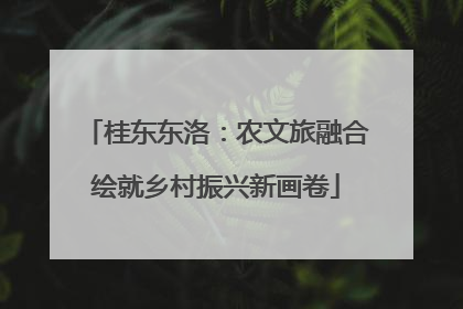 桂东东洛：农文旅融合绘就乡村振兴新画卷