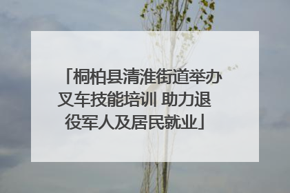 桐柏县清淮街道举办叉车技能培训 助力退役军人及居民就业
