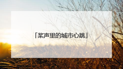 桨声里的城市心跳