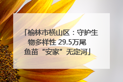 榆林市横山区：守护生物多样性 29.5万尾鱼苗“安家”无定河