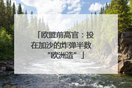 欧盟前高官：投在加沙的炸弹半数“欧洲造”