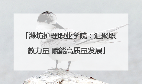 潍坊护理职业学院：汇聚职教力量 赋能高质量发展