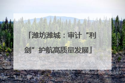 潍坊潍城：审计“利剑”护航高质量发展
