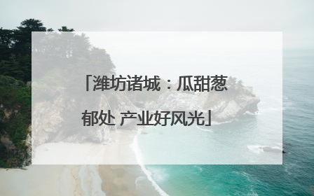 潍坊诸城：瓜甜葱郁处 产业好风光