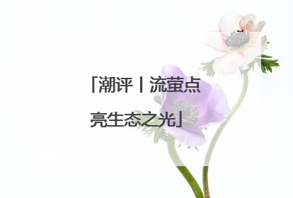 潮评丨流萤点亮生态之光