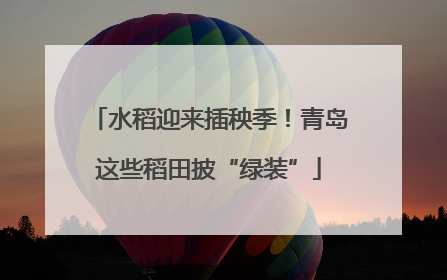 水稻迎来插秧季！青岛这些稻田披“绿装”