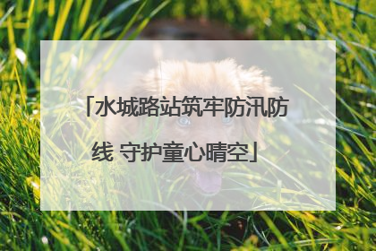 水城路站筑牢防汛防线 守护童心晴空