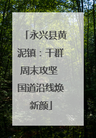 永兴县黄泥镇：干群周末攻坚 国道沿线焕新颜