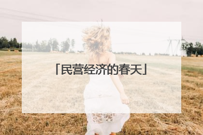 民营经济的春天