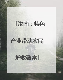 汝南：特色产业带动农民增收致富
