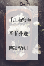 江南梅雨季 杭州迎持续降雨