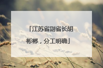 江苏省副省长胡彬郴，分工明确