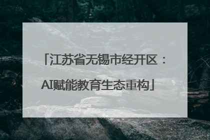 江苏省无锡市经开区：AI赋能教育生态重构