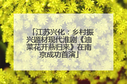 江苏兴化：乡村振兴题材现代淮剧《油菜花开燕归来》在南京成功首演