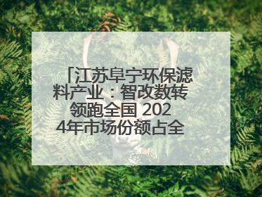 江苏阜宁环保滤料产业：智改数转领跑全国 2024年市场份额占全国三分之一