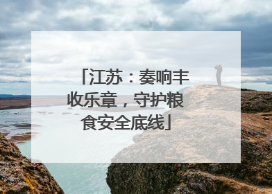 江苏：奏响丰收乐章，守护粮食安全底线