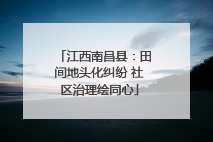 江西南昌县：田间地头化纠纷 社区治理绘同心