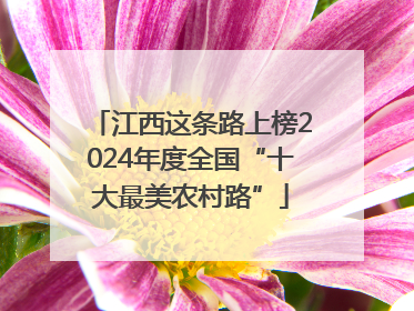 江西这条路上榜2024年度全国“十大最美农村路”