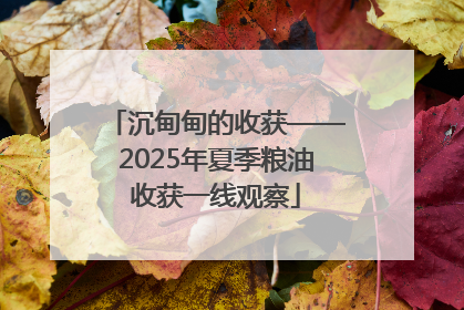 沉甸甸的收获——2025年夏季粮油收获一线观察
