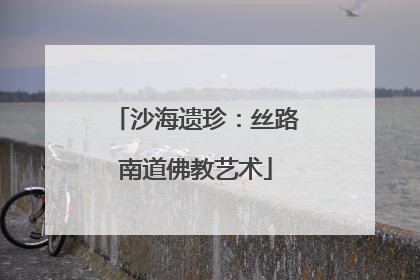 沙海遗珍:丝路南道佛教艺术