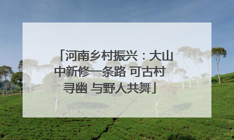 河南乡村振兴：大山中新修一条路 可古村寻幽 与野人共舞