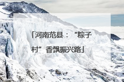 河南范县：“粽子村”香飘振兴路