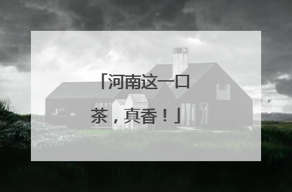 河南这一口茶，真香！