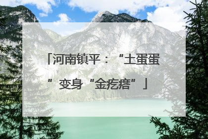 河南镇平：“土蛋蛋”变身“金疙瘩”
