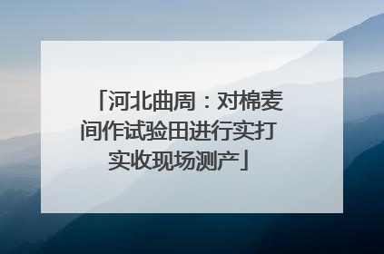 河北曲周：对棉麦间作试验田进行实打实收现场测产