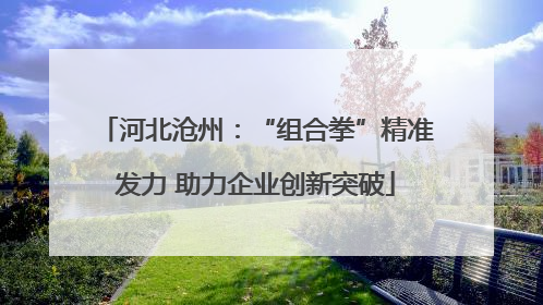 河北沧州：“组合拳”精准发力 助力企业创新突破