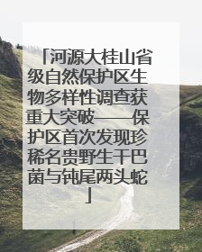 河源大桂山省级自然保护区生物多样性调查获重大突破——保护区首次发现珍稀名贵野生干巴菌与钝尾两头蛇