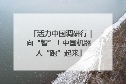 活力中国调研行｜向“智”！中国机器人“跑”起来