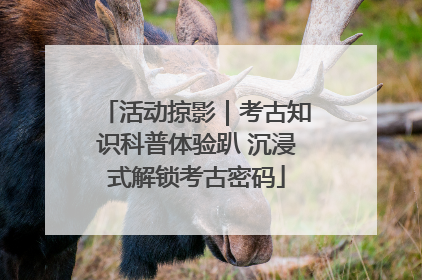 活动掠影｜考古知识科普体验趴 沉浸式解锁考古密码