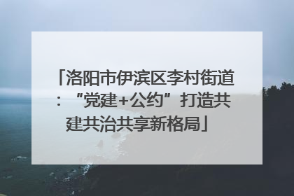 洛阳市伊滨区李村街道：“党建+公约”打造共建共治共享新格局