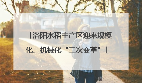 洛阳水稻主产区迎来规模化、机械化“二次变革”