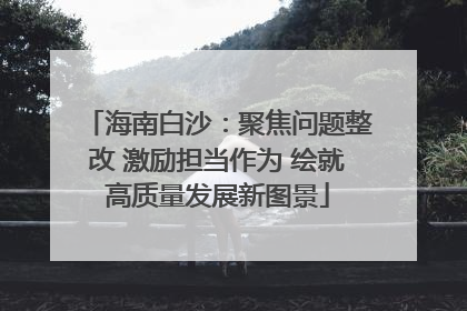 海南白沙：聚焦问题整改 激励担当作为 绘就高质量发展新图景
