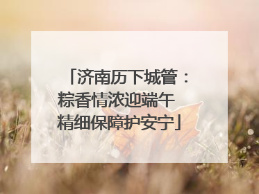 济南历下城管：粽香情浓迎端午 精细保障护安宁