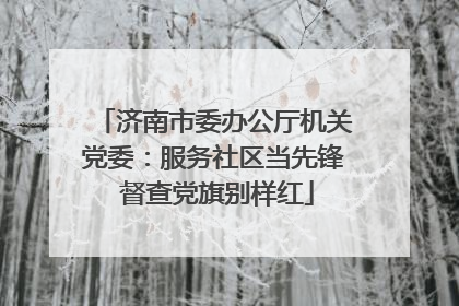 济南市委办公厅机关党委：服务社区当先锋 督查党旗别样红