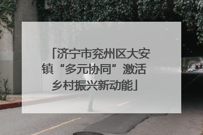 济宁市兖州区大安镇“多元协同”激活乡村振兴新动能
