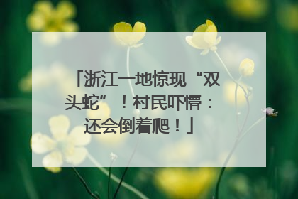 浙江一地惊现“双头蛇”！村民吓懵：还会倒着爬！
