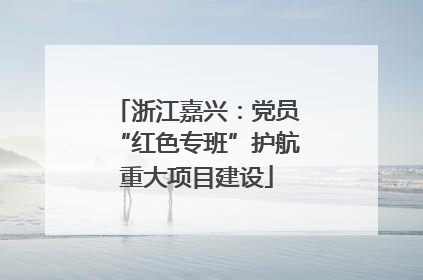 浙江嘉兴：党员“红色专班”护航重大项目建设
