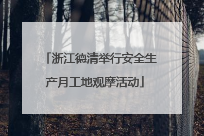 浙江德清举行安全生产月工地观摩活动