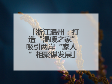浙江温州：打造“温暖之家”吸引两岸“家人”相聚谋发展