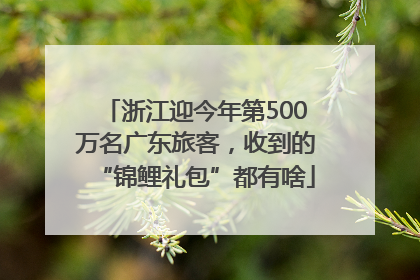 浙江迎今年第500万名广东旅客，收到的“锦鲤礼包”都有啥