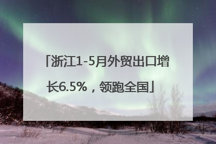浙江1-5月外贸出口增长6.5%，领跑全国
